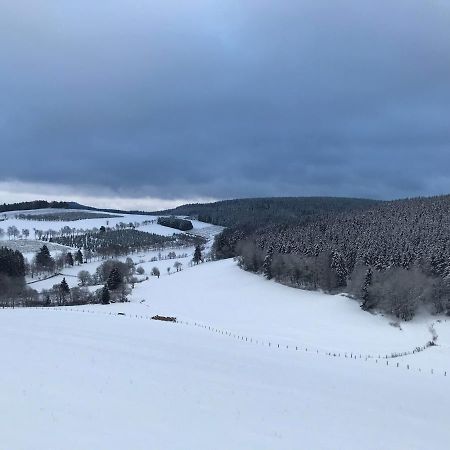 Appartement Familie Willems Winterberg 3 Luaran gambar