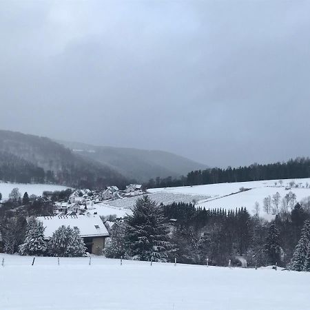 Appartement Familie Willems Winterberg 3 Luaran gambar