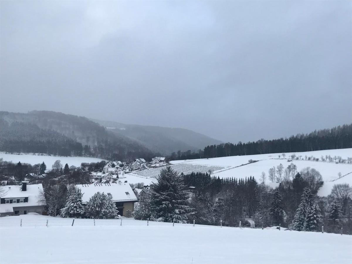 Appartement Familie Willems Winterberg 3 Luaran gambar